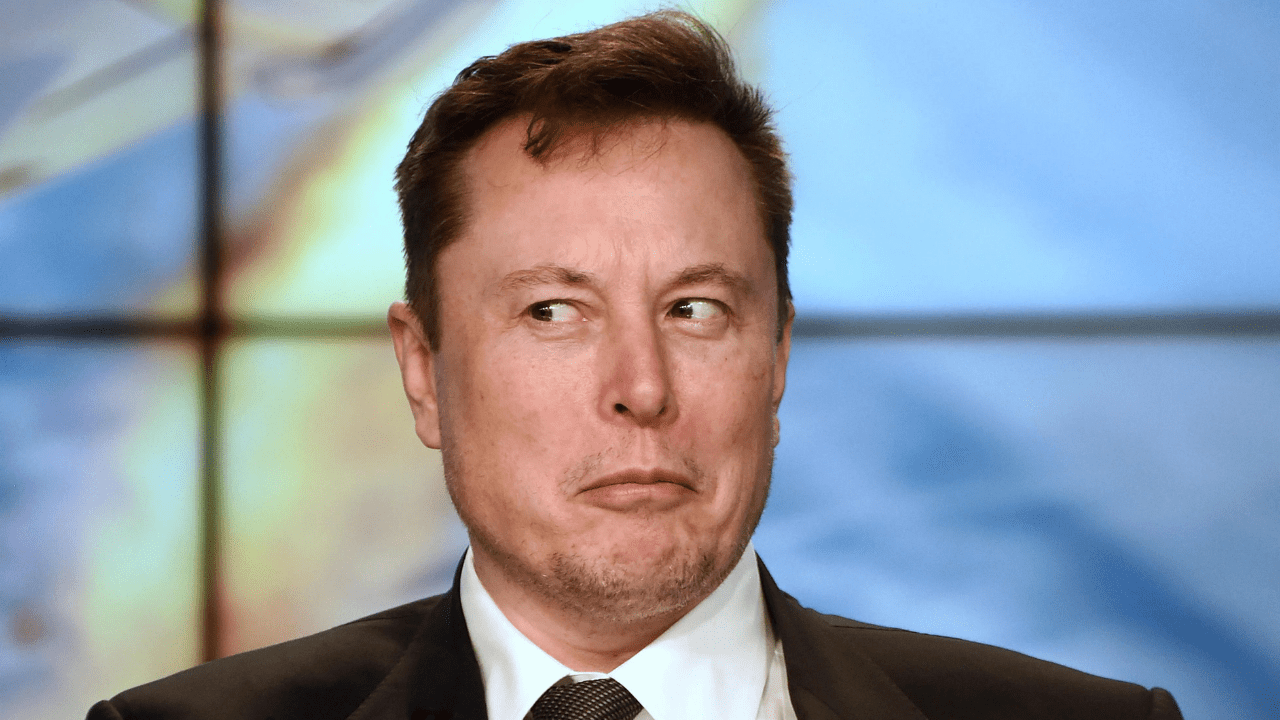 Elon Musk com expressão debochada (Imagem: Paul HennessyNurPhoto via Getty Images/divulgação