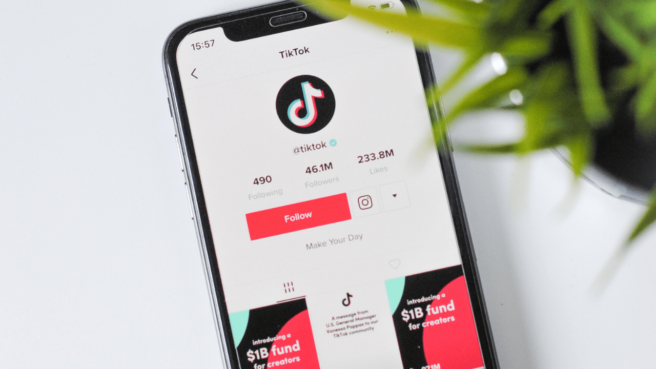 TikTok finalmente resolve facilitar busca de vídeos já assistidos