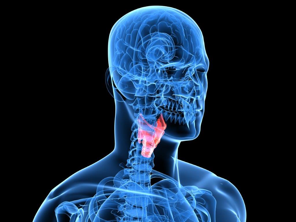 Cientistas criam laringe artificial que devolve voz a pacientes com câncer