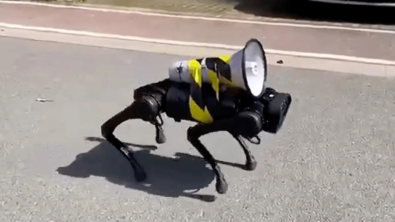 Cão robô improvisado com alto-falante nas "costas" (Imagem: NY Post por Newsflare/DIvulgação)