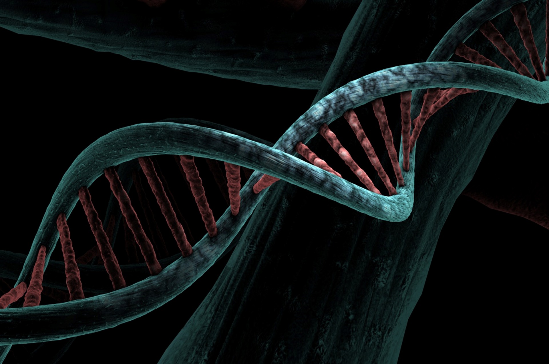 Cientistas fazem grande descoberta associando alteração do DNA ao câncer