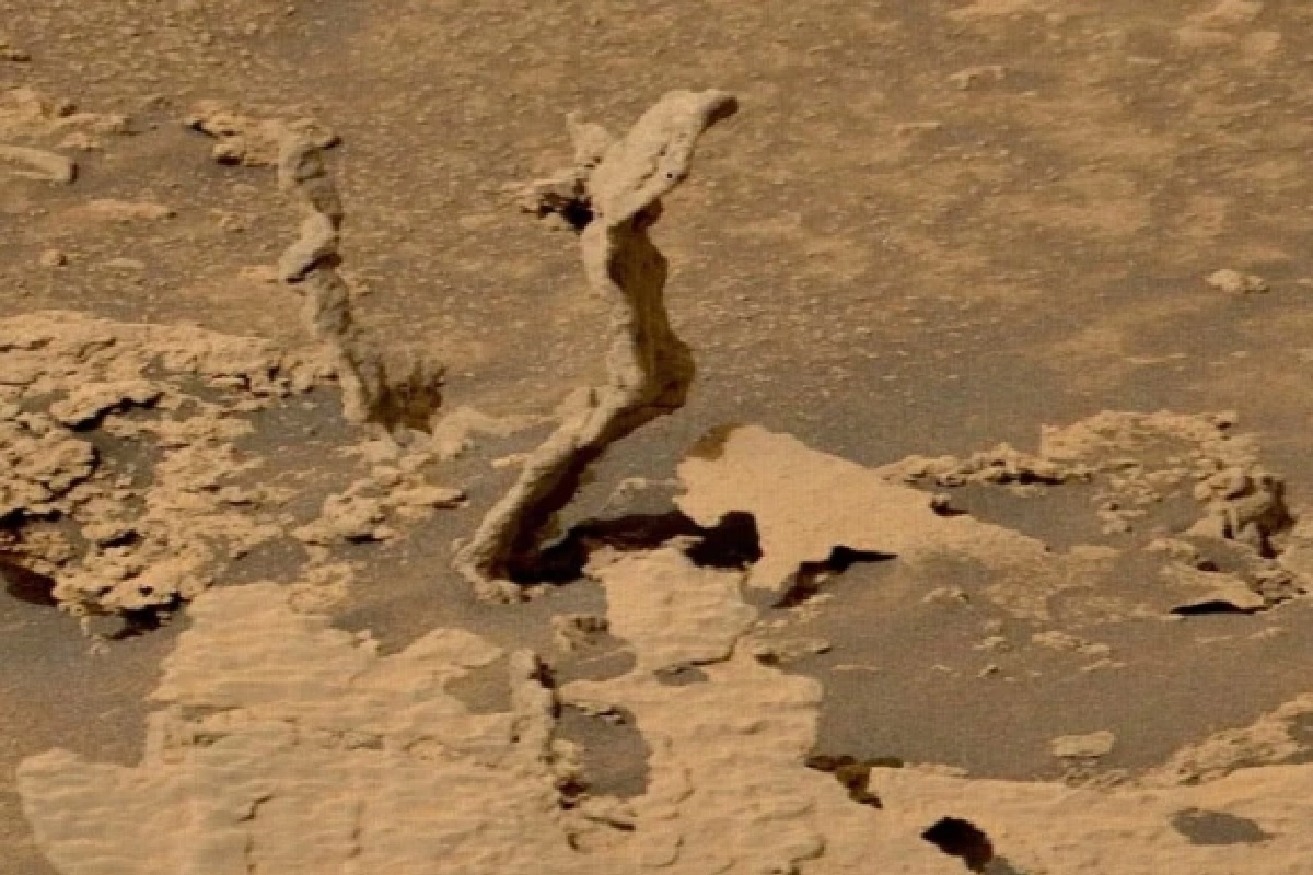 Rover da NASA avista item mágico em Marte