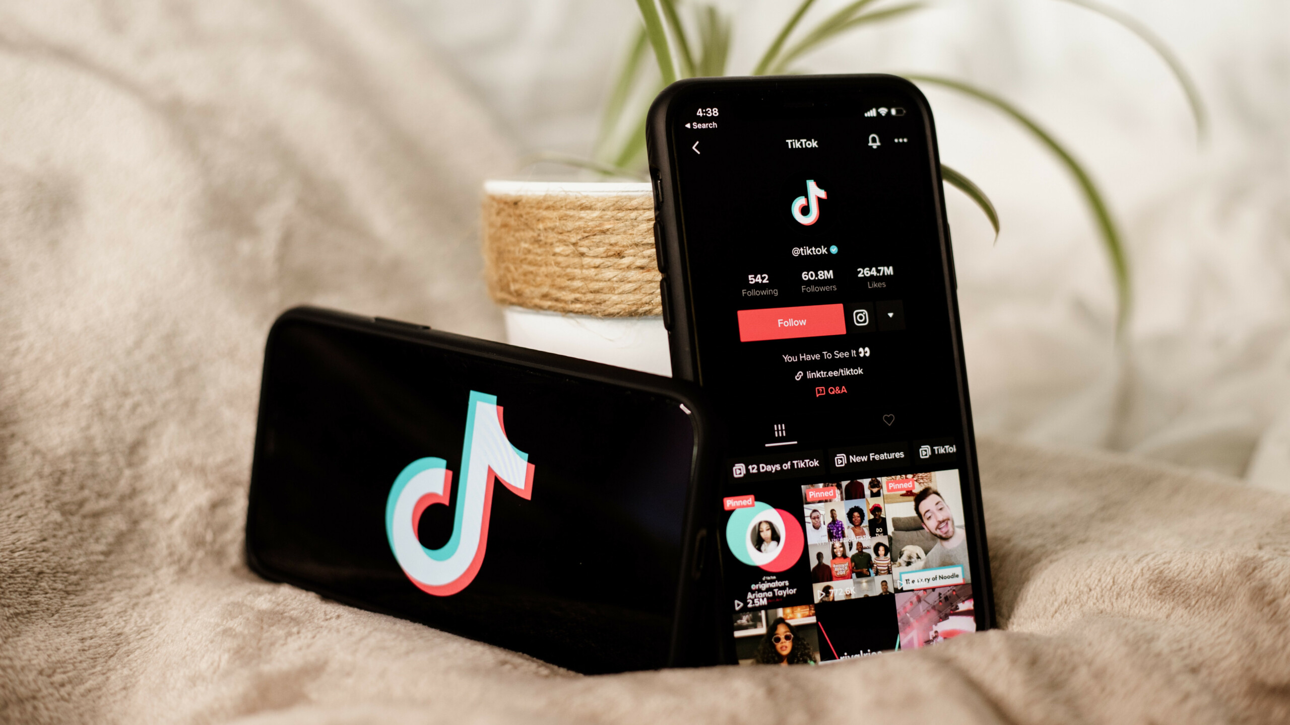 Até que enfim; TikTok vai implementar “botão” MUITO pedido pelos usuários