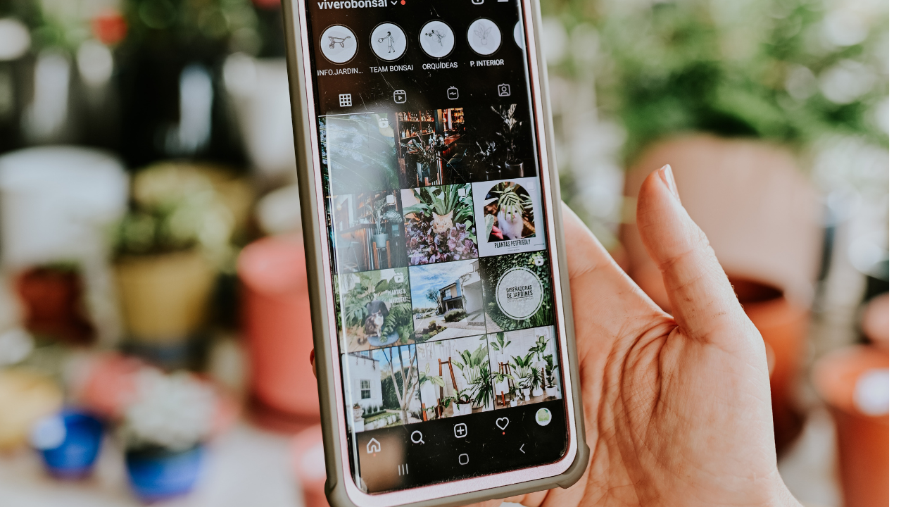 Instagram: aprenda como deixar a tela escura de forma simples e fácil no iOS e Android