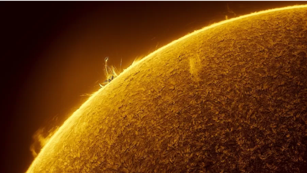 Imagem das explosões de plasma do Sol. (Imagem: Miguel Claro)