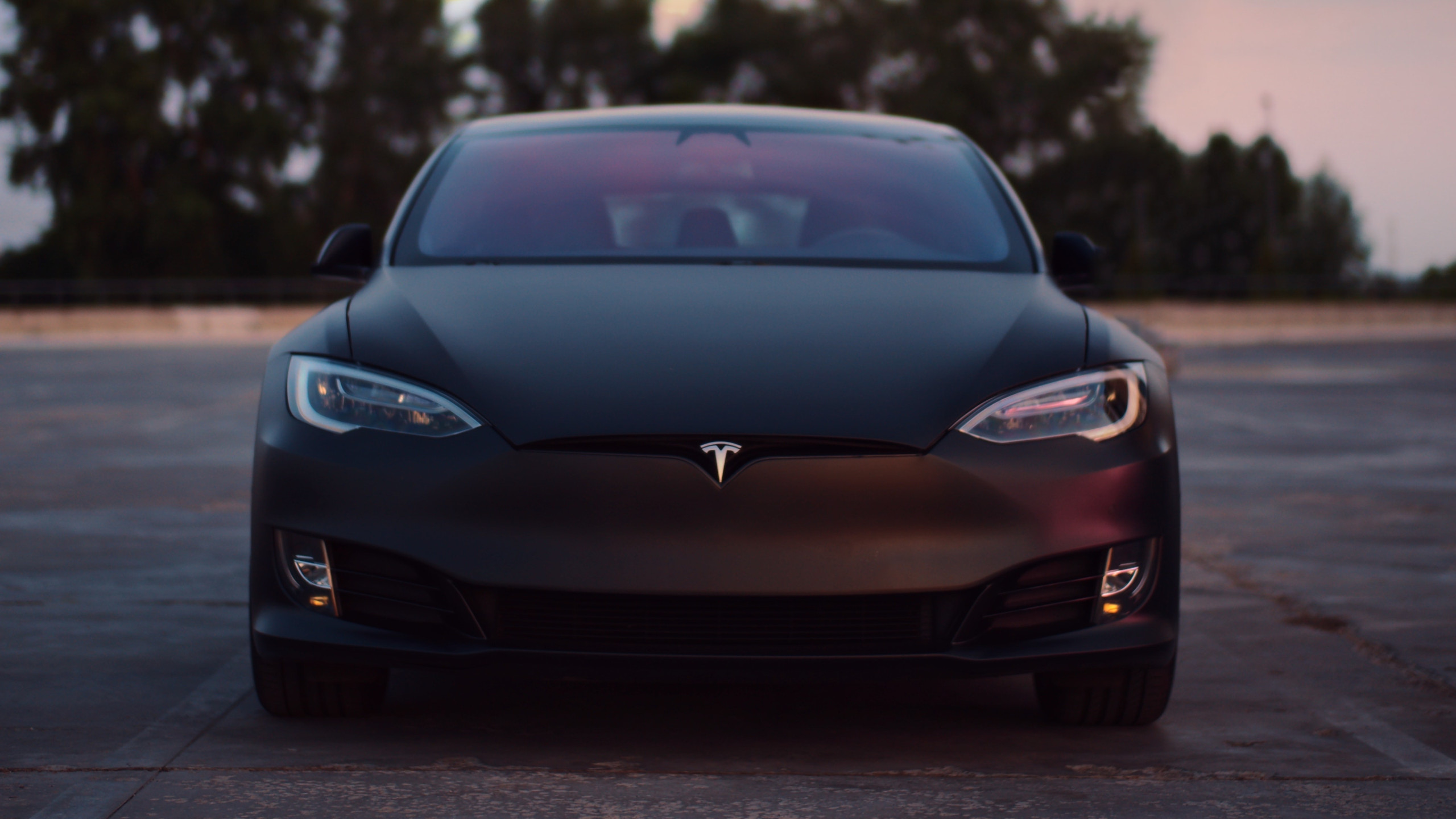 Tesla bateu recorde de vendas no último trimestre; quem falou em crise? - Imagem: Dmitry Novikov on Unsplash