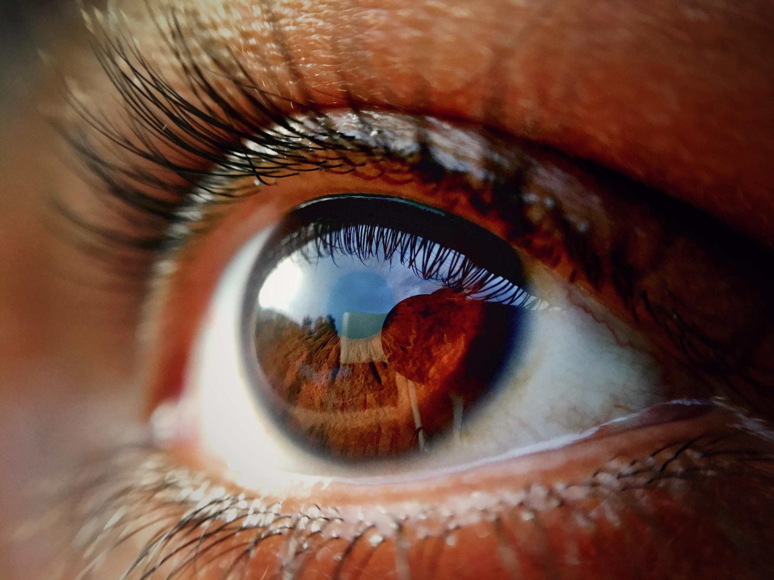 Tecnologia REVOLUCIONÁRIA escaneia a retina para descobrir risco de doenças graves; confira