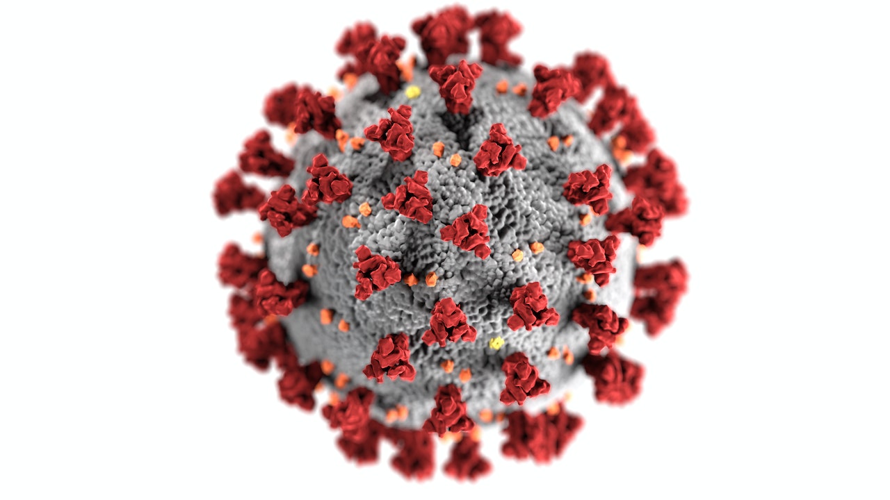Vírus zumbi é descongelado por cientistas após 48 mil anos de inatividade
