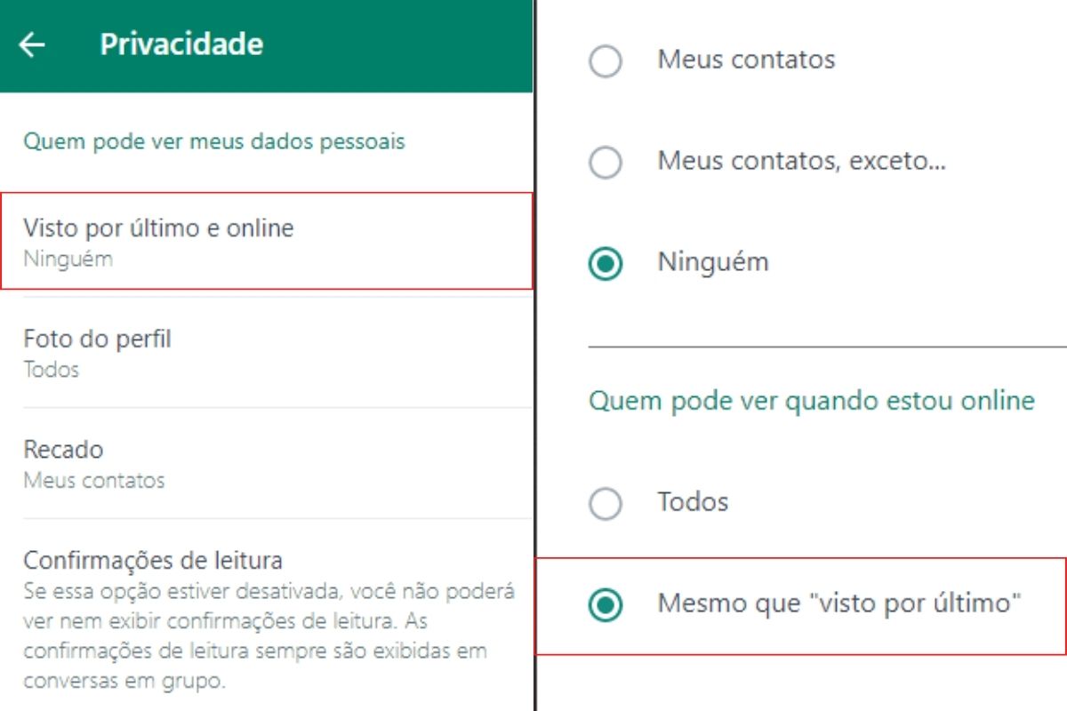 Dá para tirar o online do WhatsApp?