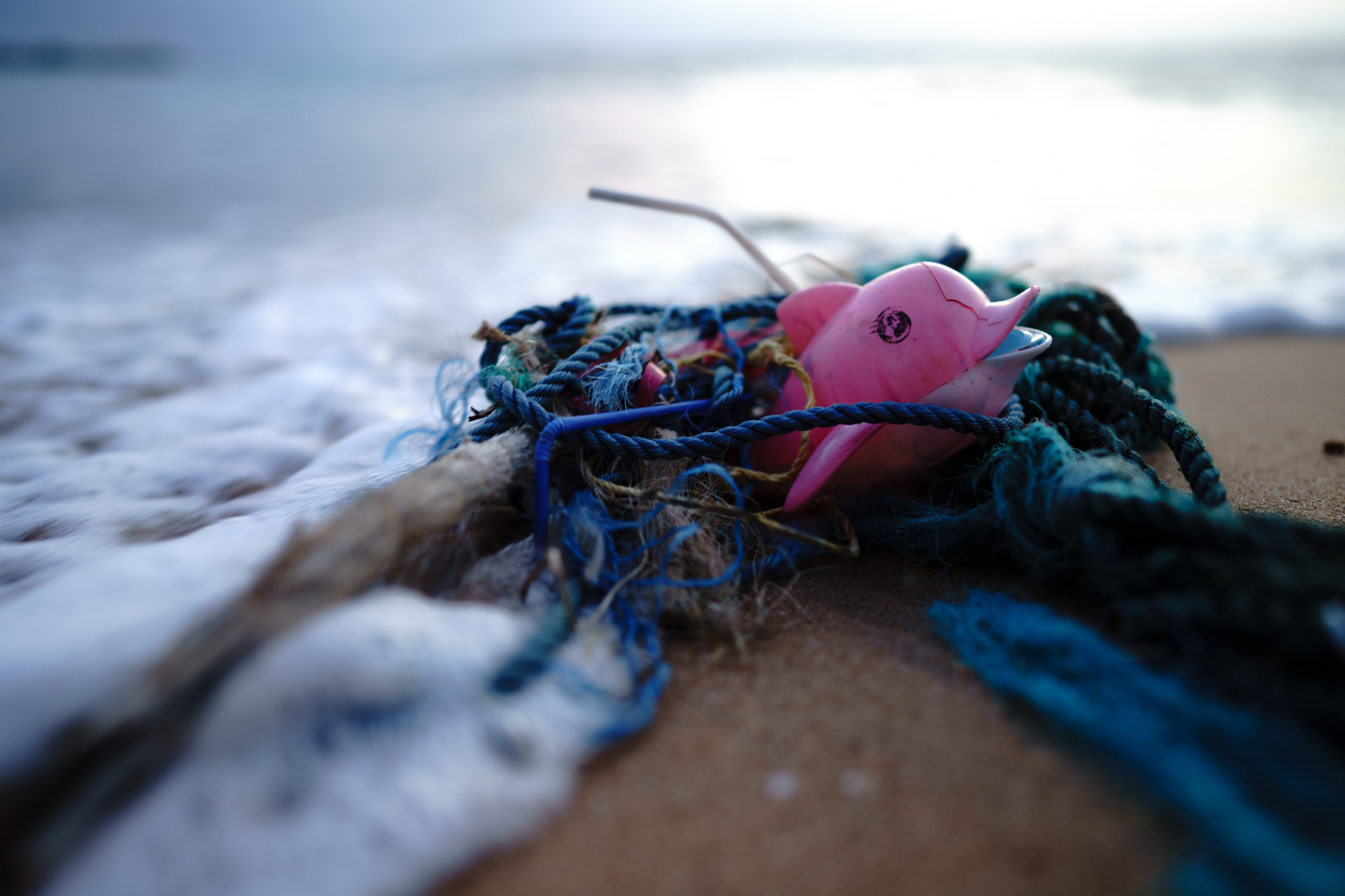 Nossos resíduos são responsáveis por destruir a vida marinha (Imagem: Soren Funk/Unsplash)
