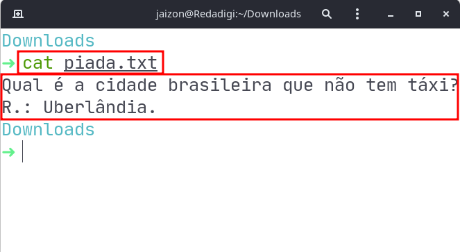 Usando "cat" para ler arquivos de texto - Imagem: Jaizon Carlos / Reprodução 