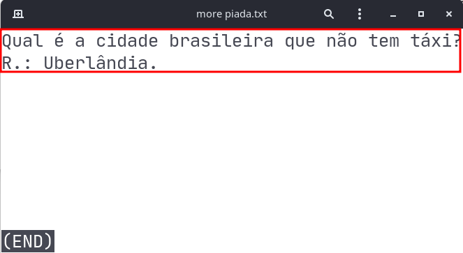 Usando "more" para ler arquivos de texto - Imagem: Jaizon Carlos / Reprodução 