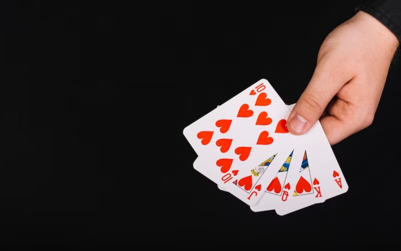 Jogos de cartas, quebra-cabeça, e caça-palavras 