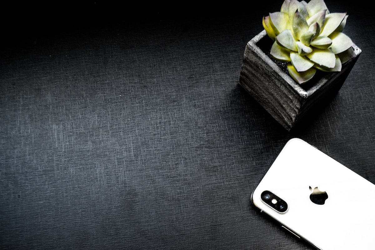 Imagem de um iPhone branco ao lado de uma planta em vaso