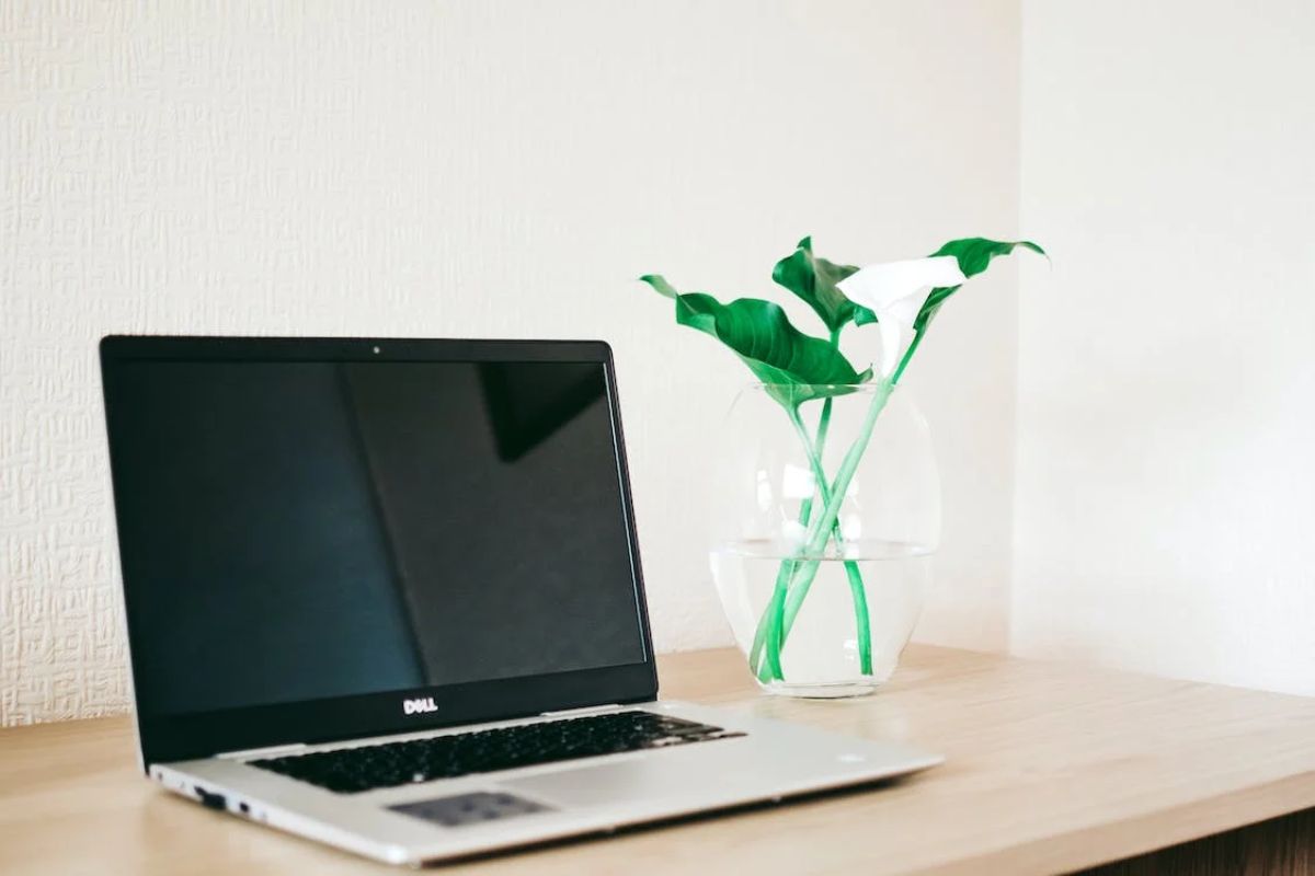 Um notebook dell está em cima de uma escrivaninha, ao lado tem um vaso de planta