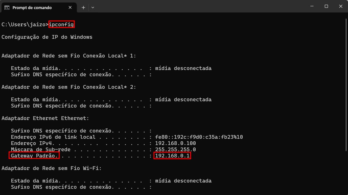 Usando prompt de comando para procurar perfis de internet